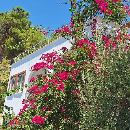 Villa Loya *