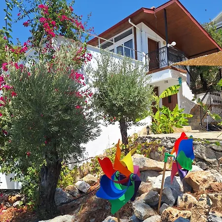 Villa Loya Ortaca (Mugla)
